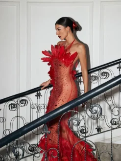 Embellishment | Dresses*Embellishment Circe Embellished Mesh Feather Maxi Dress In Red