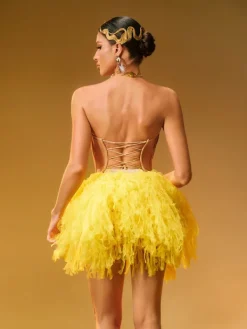 Sets & Co-ords*Jiu Bajia Dakan Strapless Corset Tulle Skirt Set