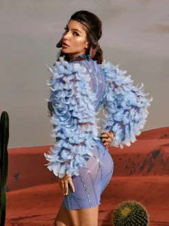 Embellishment | Dresses*Embellishment Platon Long Sleeve Feather Embellished Mini Dress